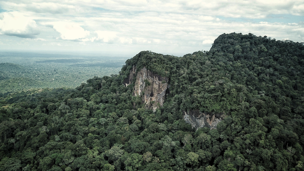 Khu vực này chứa rất nhiều loại đá như thạch anh, đá núi lửa, đá phiến sét và đá sa thạch. Đỉnh cao nhất của cao nguyên là ngọn núi Pico da Neblina, với độ cao 2.995 m so với mực nước biển. Đây là cũng đỉnh núi cao nhất của Brazil.