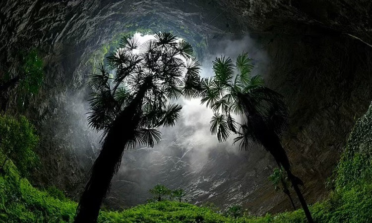 Hố sụt mới này được phát hiện vào tháng 5 năm 2023 bởi một nhóm các nhà khoa học Trung Quốc thuộc Viện Địa chất Trung Quốc. Hố sụt được đặt tên là "Hố sụt Thiên Đường" (Tiankeng Tiankeng) do nó có hình dạng như một chiếc chuông lớn.