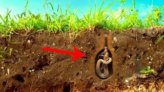 Khi vào mùa nước nổi, chúng sẽ sống và di chuyển trong nước như các loài cá khác. Nhưng tới mùa hạn hán, chúng sẽ đào hố sâu dưới lớp bùn non bằng cách ăn bùn qua miệng và thải qua mang. Khi tới độ sâu cần thiết, cá phổi ngừng đào và tự tiết ra chất nhầy để làm cứng bùn, đồng thời tạo lớp kén bọc bên ngoài, chỉ lộ miệng để lấy không khí và kích hoạt trạng thái ngủ hè.