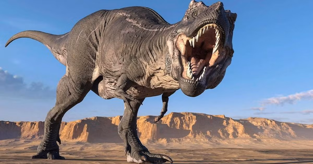 Bằng chứng về các loài khủng long đã được tìm thấy trên khắp nước Mỹ, và giờ đây các địa điểm đó đã trở thành điểm đến để du khách có cái nhìn chân thật hơn về loài vật này.