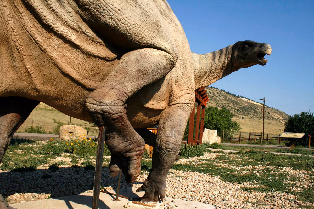 Địa điểm thứ 5 có tên là Dinosaur Ridge, một điểm đến cách thành phố Denver khoảng 30 phút đi xe về phía tây ở chân núi Rocky Mountains. Nó tình cờ được phát hiện vào những năm 1930 trong một dự án xây dựng đường.