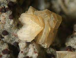 Theo chủ nhiệm nghiên cứu Valerie Payré - nhà khoa học hành tinh tại Đại học Bắc Arizona và Đại học Rice, việc phát hiện ra tridymite khiến các nhà nghiên cứu bất ngờ vì 2 lý do chính. Thứ nhất, tridymite là khoáng vật cực kỳ hiếm trên Trái đất và hoạt động núi lửa trên sao Hỏa trước đó được cho là không phù hợp để tạo ra các khoáng vật giàu silica như tridymite.