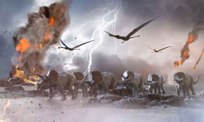 Làm thế nào những con gián có thể sống sót khi rất nhiều sinh vật mạnh mẽ tuyệt chủng? Nguyên nhân là chúng được trang bị rất tốt để vượt qua một thảm họa thiên thạch, theo Brian Lovett, nhà nghiên cứu sau tiến sĩ tại Đại học Tây Virginia.