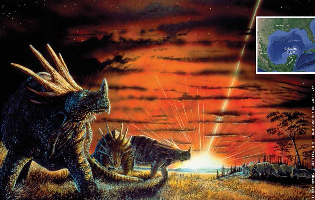 Một điểm hữu ích khác là gián đẻ trứng trong những "hộp bảo vệ" nhỏ. Hộp trứng này trông giống như hạt đậu khô và được gọi là oothecae.