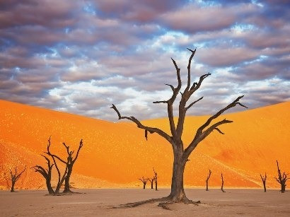 9. Công viên Namib Naukluft, Namibia. Các đụn cát đỏ và những cây hình xương đã khiến Namibia trông như những gì chúng ta hình dung về Sao Hỏa.