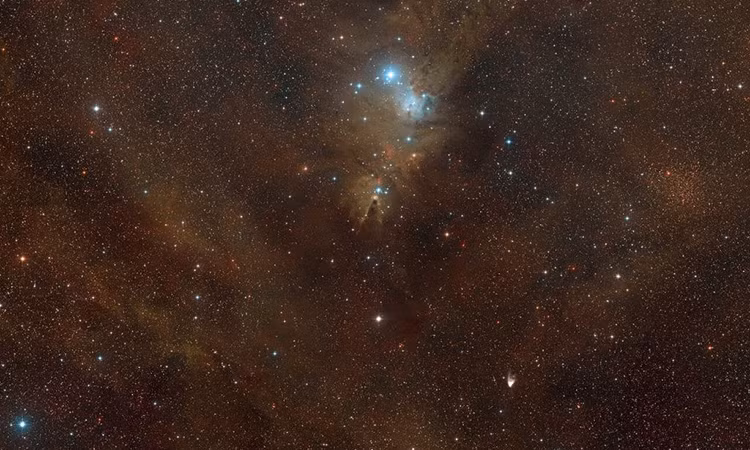 Do vị trí tương đối gần với Trái Đất, tinh vân Hình nón đã được nghiên cứu kỹ lưỡng. Tuy nhiên, những hình ảnh trước đây thiếu nhiều chi tiết đáng kinh ngạc so với quan sát mới, được thực hiện vào đầu năm nay bởi Kính viễn vọng Rất lớn (VLT), đặt tại Sa mạc Atacama của miền bắc Chile.