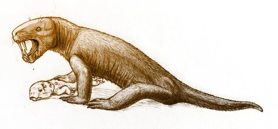 Tuy nhiên mọi thứ phải đi đến hồi kết và cái kết của Gorgonopsia thật đột ngột. Chúng đã bị xóa sổ trong sự kiện tuyệt chủng kỷ Permi-Trias. Núi lửa khi đó hoạt động mạnh giải phóng rất nhiều khí nhà kính gây ra nóng lên toàn cầu, mưa axit, sa mạc hóa, cháy rừng… và có thể đã phá vỡ tầng ozon. Hầu hết con mồi của Gorgonopsia chết vì đói, điều đó nhanh chóng kéo theo sự biến mất của loài quái vật tiền sử này.