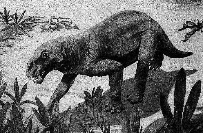 Đó chính là Gorgonopsia. Gorgonopsia là một trong những nhóm động vật đáng sợ nhất từng sống, được mệnh danh là " quái vật thời tiền sử". Chúng trông như bước ra từ phim khoa học viễn tưởng.