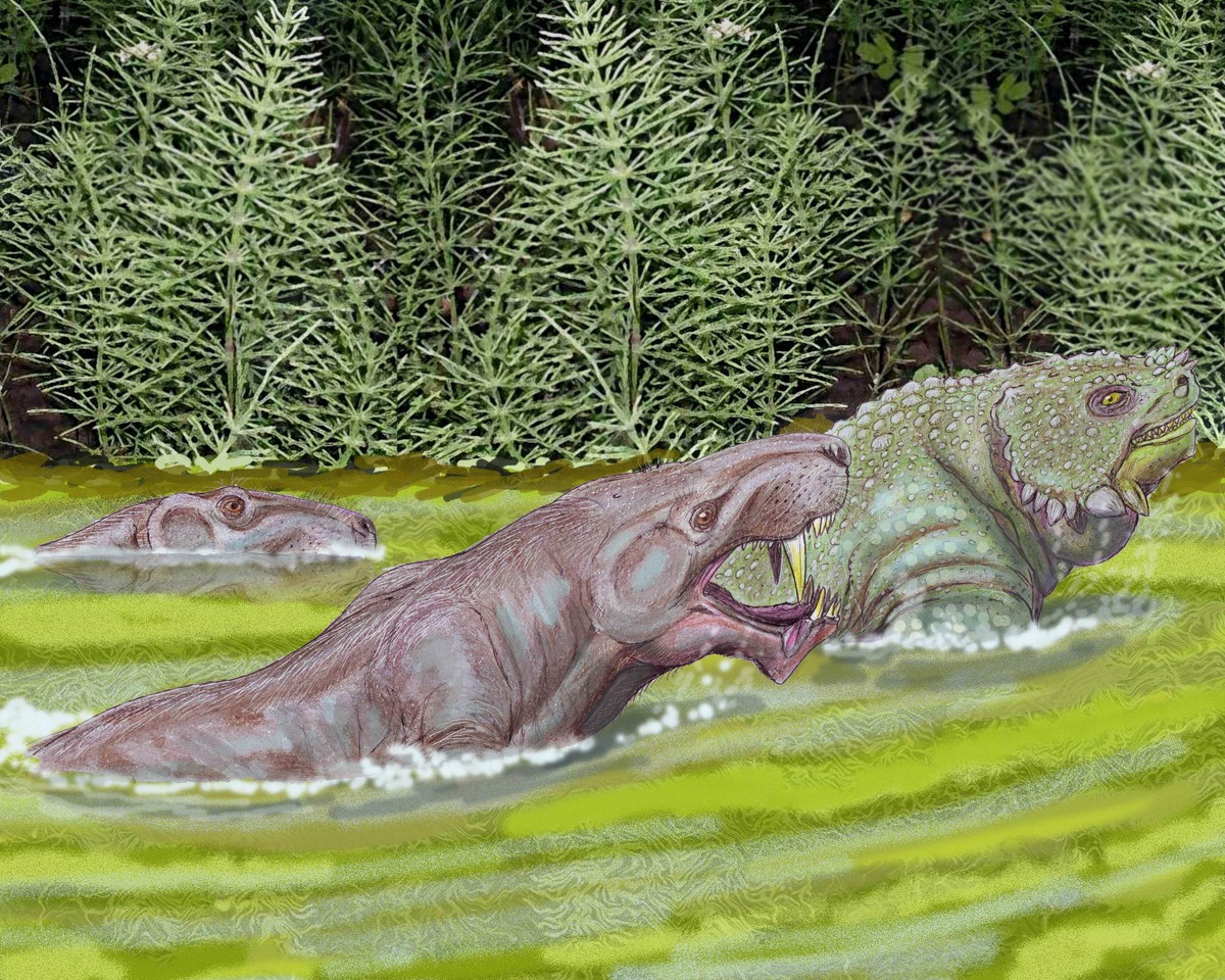 Tất cả Gorgonopsia đều có răng nanh có thể thay thế nhiều lần trong suốt cuộc đời. Chúng sử dụng răng nanh để đâm con mồi và đợi nó yếu đi hoặc chảy máu đến chết. Một số con mồi của chúng thường được bọc giáp và thường chống trả, điều này có thể khiến Gorgonopsia bị mất răng nanh.