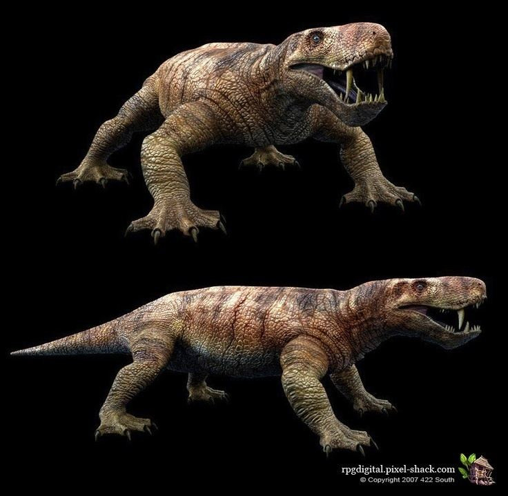 Vào thời đại của Gorgonopsia, chỉ có một siêu lục địa Pangaea nhưng hóa thạch của chúng ngày nay chỉ được tìm thấy ở miền nam châu Phi và Nga, dù hai địa điểm này ở khá xa nhau. Trong một thời gian, đã có tranh cãi về việc tại sao không có bất kỳ Gorgonopsia nào ở trung tâm Pangaea.