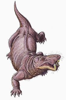 Gorgonopsia cực kì hung dữ, chúng lần đầu xuất hiện khoảng 265 triệu năm trước ở kỷ Permi - thời kì trước khi có khủng long. Quái vật tiền sử tiến hóa từ động vật có vú nguyên thủy đầu tiên tách ra từ cây gia đình bò sát. Vậy chúng giống thú, hay bò sát hơn?