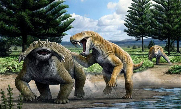 Chân của Gorgonopsia ở phía dưới cơ thể giống chó sói chứ không khuỳnh ra hai bên như cá sấu hoặc tổ tiên của chúng. Hộp sọ của chúng khá giống động vật có vú và hầu hết chúng đều có răng cửa, răng nanh và răng hàm giống chúng ta.