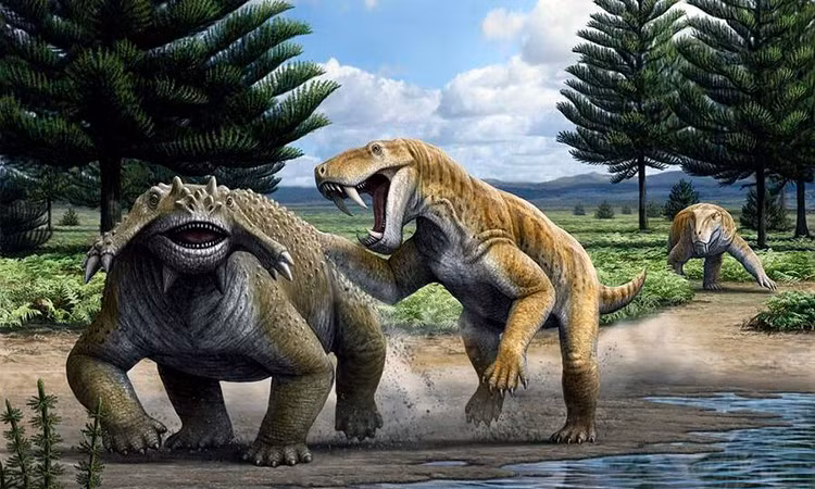 Chân của Gorgonopsia ở phía dưới cơ thể giống chó sói chứ không khuỳnh ra hai bên như cá sấu hoặc tổ tiên của chúng. Hộp sọ của chúng khá giống động vật có vú và hầu hết chúng đều có răng cửa, răng nanh và răng hàm giống chúng ta.