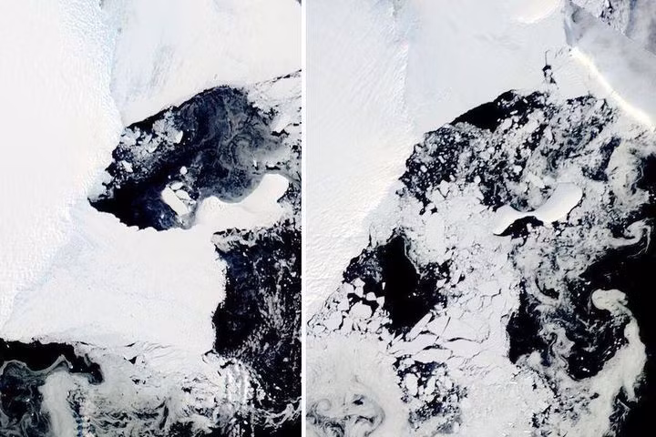 "Thềm băng ở Nam Cực đang bình thường ở đó và đột nhiên sụp đổ", chuyên gia về băng Andrew Mackintosh, người đứng đầu Khoa Trái Đất, Khí quyển và Môi trường tại Đại học Monash (Australia), nhận xét.