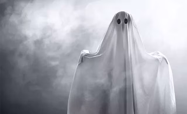 Khi quá trình cung cấp máu và oxy ngừng lại, sự gắn kết không còn, nhưng thông tin lượng tử không mất đi. Nó có thể phát tán vào vũ trụ, tồn tại và tiếp tục hoạt động dưới một hình thức nào đó. Nếu bệnh nhân được cứu sống, thông tin sẽ được não tiếp nhận trở lại. Có lẽ vì thế mà những người từng có trải nghiệm cận tử có thể nhận biết thế giới xung quanh khi họ bất tỉnh.