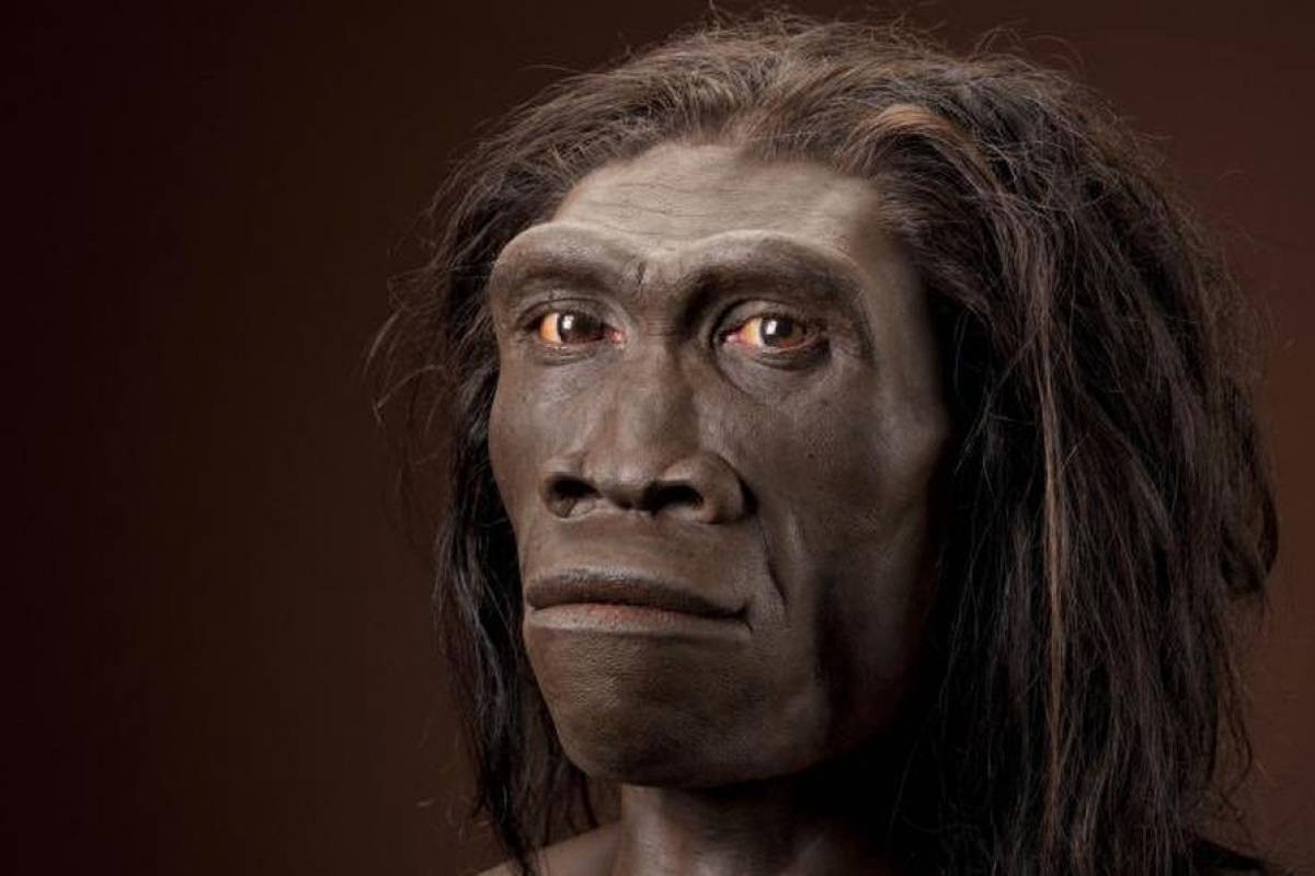 Tiến sĩ Adam Siepel thuộc Phòng thí nghiệm Cold Spring Harbor (Mỹ), một trong các tác giả chính của nghiên cứu cho biết đã tìm thấy "DNA ma" trong cơ thể người hiện đại. Tuy nhiên nó không được trao trực tiếp cho chúng ta, mà trao cho người Neanderthals vào 200.000-300.000 năm trước.