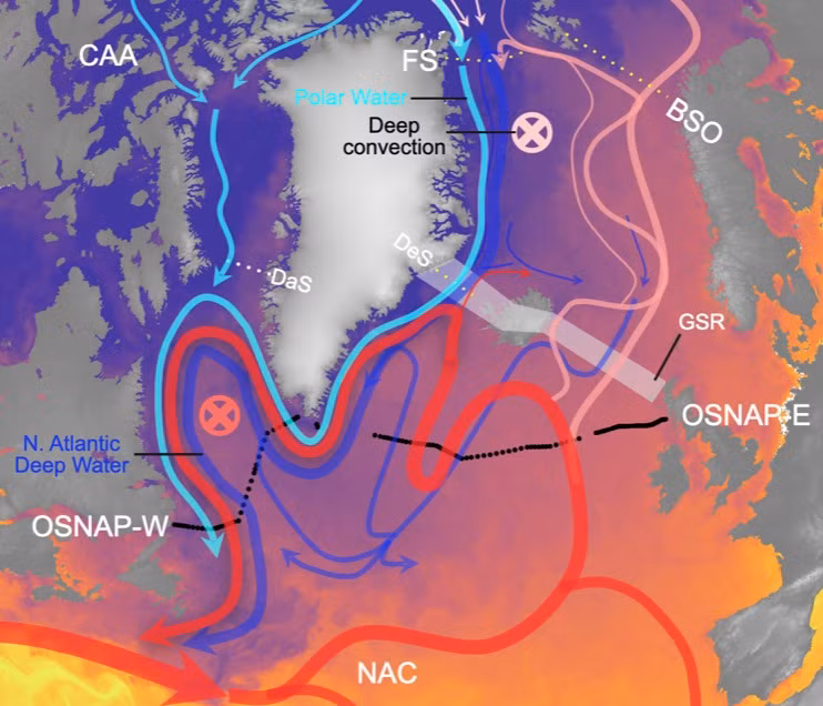 Tuy nhiên, biến đổi khí hậu đang làm chậm hoạt động của AMOC. Nước ngọt từ tảng băng tan chảy vào dòng chảy, làm cho nó trở nên ít đậm đặc và mất đi mặn. Các nghiên cứu gần đây đã chỉ ra rằng AMOC đang ở mức yếu nhất trong 1.000 năm qua.