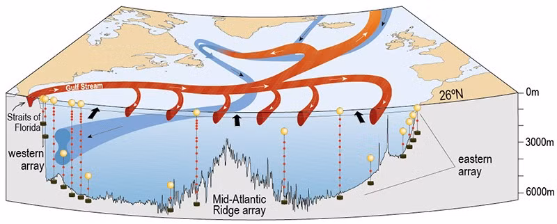 Trước đây, các nghiên cứu đã dự đoán rằng dòng hải lưu có thể chuyển sang trạng thái yếu trong tương lai. Tuy nhiên, sự thay đổi khí hậu do con người gây ra có thể khiến AMOC sụp đổ sớm hơn dự kiến.