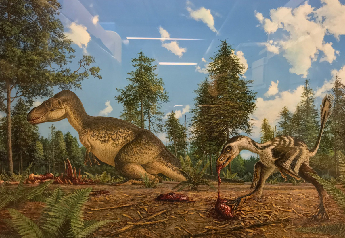 Nghiên cứu còn cho thấy hai chi trước của Bambiraptor cũng phát triển các ngón tay tới mức chúng có thể dùng ngón tay của mình để giữ thức ăn rồi mới cho vào miệng và chúng cũng có IQ cao hơn so với phần lớn các loài khủng long Dromaeosauridae khác, có thể bằng với cả những loài chim hiện đại ngày nay.