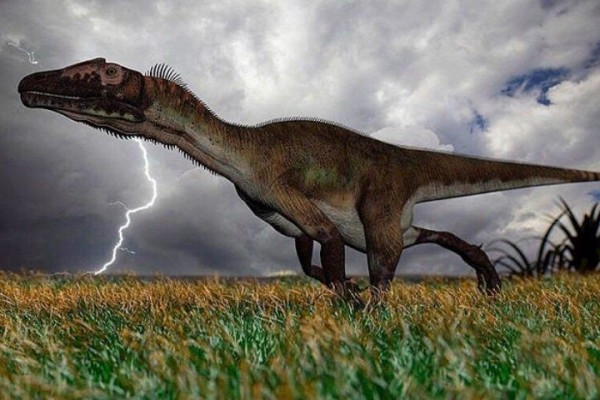 Ngày nay, hầu hết các nhà cổ sinh vật học đều đồng ý rằng những con khủng long ăn thịt của kỷ nguyên Mesozoi đều sở hữu máu nóng, chính vì thế Utahraptor không phải ngoại lệ. Chúng là một động vật săn mồi lớn, có lông vũ. Khủng long săn mồi Utah Utahraptor gần như là sinh vật máu nóng nhất.