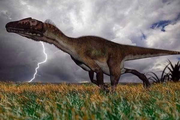 Ngày nay, hầu hết các nhà cổ sinh vật học đều đồng ý rằng những con khủng long ăn thịt của kỷ nguyên Mesozoi đều sở hữu máu nóng, chính vì thế Utahraptor không phải ngoại lệ. Chúng là một động vật săn mồi lớn, có lông vũ. Khủng long săn mồi Utah Utahraptor gần như là sinh vật máu nóng nhất.