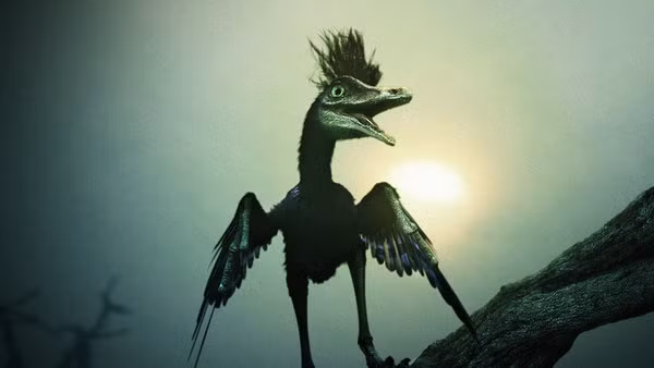 3. Rahonavis. Rahonavis là một chi khủng long chim từng sống cách đây 70 triệu năm ở Tây Bắc Madagascar, châu Phi vào cuối kỷ Phấn Trắng. Đây là một loài khủng long săn mồi nhỏm, chỉ dài khoảng 70 cm và nặng khoảng 0.45-2.27 kg.