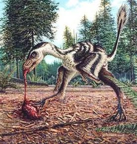 1. Bambiraptor. Bambiraptor thuộc chi khủng long Dromaeosauridae nhỏ, từng sống cách đây 72-75 triệu năm vào cuối kỳ Phấn Trắng ở Bắc Mỹ. Cái tên của chúng lấy cảm hứng từ nhân vật chú nai Bambi cũng vì có kích thước nhỏ tương tự. Giả thiết khác là tên chúng lấy cảm hứng từ từ "bambino", có nghĩa là "đứa trẻ" trong tiếng Ý.