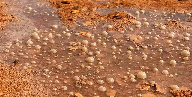 Nếu không cẩn thận, chúng ta có thể bị lún xuống như đang bước vào bãi bùn. Trong một ghi chép vào năm 1885, một nhà thám hiểm người Nga tới Thanh Hải và Tân Cương đã phát hiện ra suối nước nóng kỳ quái này.