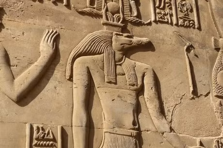 Các nhà nghiên cứu tin rằng đầu cá sấu là quà tặng cho các quan chức quan trọng được chôn cất ở đó. Mặc dù người ta biết rõ loài bò sát này được tôn kính như thế nào ở Ai Cập cổ đại, nhưng đây dường như là một truyền thống chưa từng được nghiên cứu trước đây.