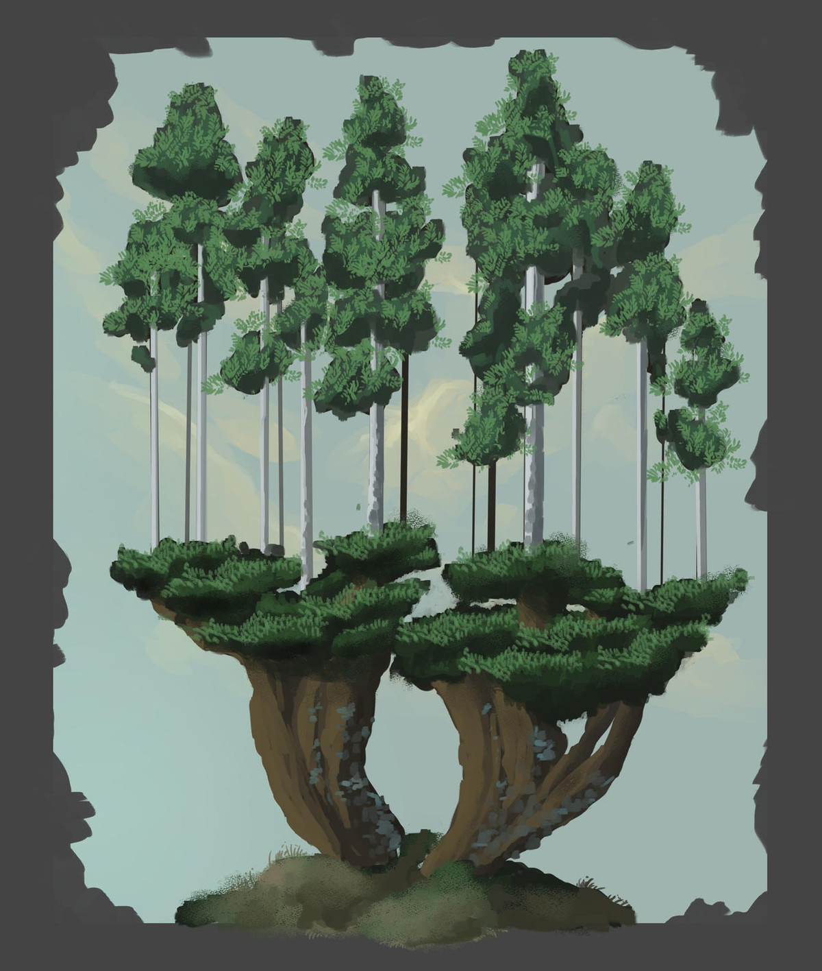 Nhiều người không thể tin vào mắt mình khi nhìn thấy các cây này, thậm chí có người phải kinh ngạc thốt lên: “Xin lỗi nhưng đây chắc chắn chỉ là cây giả, làm sao có thể trồng cây trên tán lá của một cây khác như vậy được?”