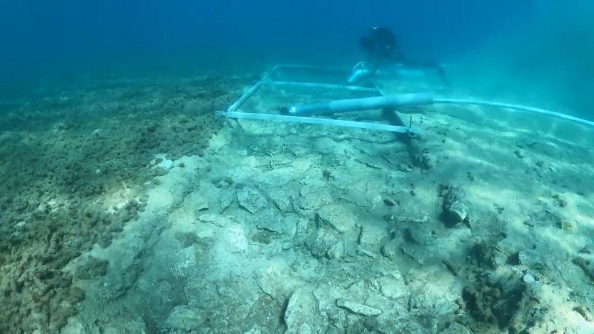 Các nhà khảo cổ đã tiến hành các hoạt động lặn để khám phá di chỉ Soline và đã phát hiện nhiều vật phẩm quan trọng, bao gồm lưỡi kiếm, rìu đá và cối giã. Những vật phẩm này được cho là đồ dùng của những người nông dân đầu tiên sinh sống tại Croatia.