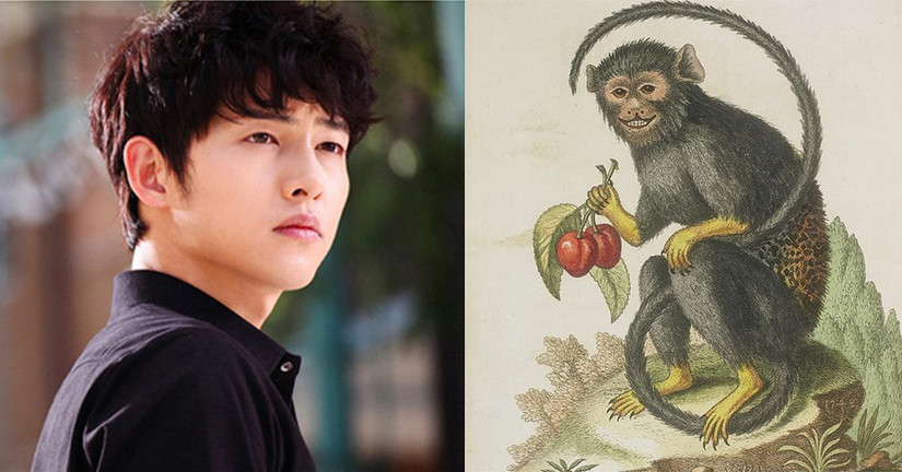 Ở năm 20 tuổi, người tuổi Thân thể hiên tốt những điểm mạnh của mình, làm gì cũng dễ gặp may mắn hơn người khác. Họ có thể đạt được nhiều thành công khi còn trẻ nhưng không tự cao tự đại.