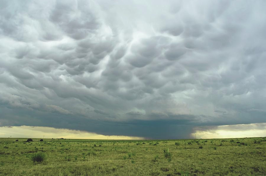 2. Mây Mammatus hay còn gọi là mây vảy rồng. Hiện tượng này là sự hình thành hiếm gặp khi không khí mát được bao quanh bởi luồng khí ấm hơn và tạo thành những mảng mây tròn tựa như những túi khí trên bầu trời.