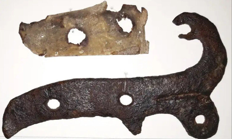 Những năm 1970, Ron Reed, chuyên gia về da tại Đại học Leeds phân tích mẫu da tại St. Botolph và kết luận đó là da người. Tuy nhiên, trong chương trình BBC Blood of the Vikings năm 2001, kết quả phân tích ADN lại cho thấy mẫu da có nguồn gốc từ họ Trâu bò (Bovidae), dù không thể khẳng định là chính xác hoàn toàn.