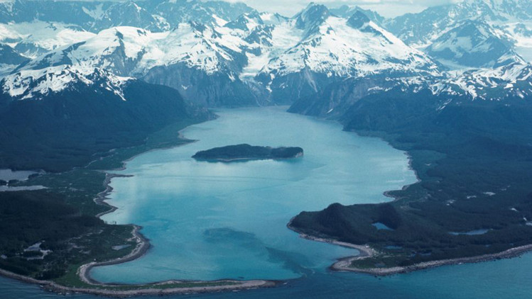 Sau khi sóng tan khoảng ba tuần, vịnh Lituya mới được đánh giá là đủ an toàn để các nhà nghiên cứu khảo sát. Các nhà nghiên cứu khi đó miêu tả, có tới hàng triệu cây bị bật gốc và trôi nổi trong vịnh.