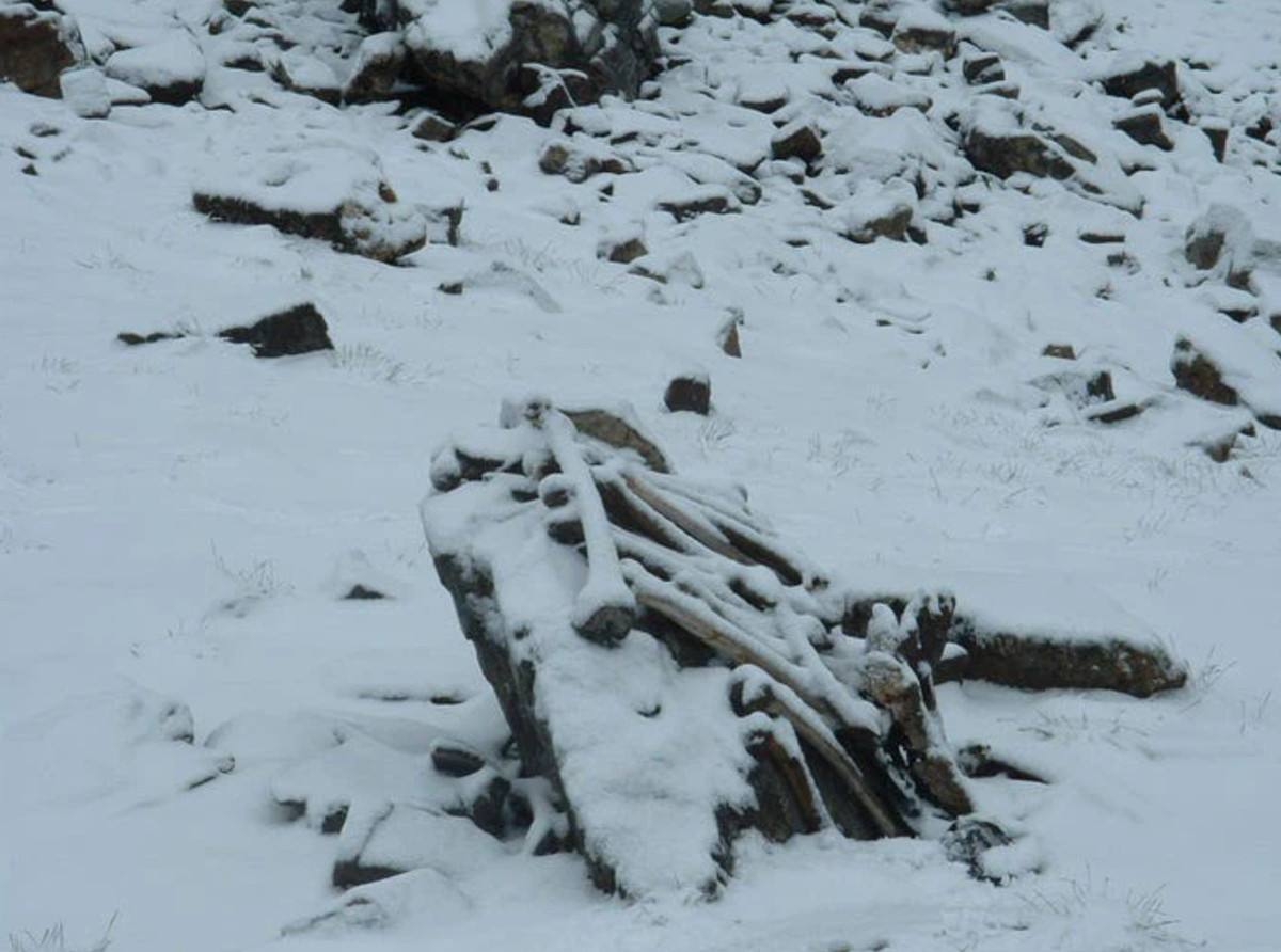 Cuối cùng, vẫn không có bằng chứng mang tính quyết định nào giải thích về nguồn gốc các bộ xương dưới hồ Roopkund. Hằng năm khi mùa xuân đến, hồ nước đóng băng này lại tan chảy để lộ những bộ xương nhưng không tiết lộ nguồn gốc của chúng. Hiện tại, hồ xương này vẫn là một bí ẩn với nhân loại. ạ;ak;a