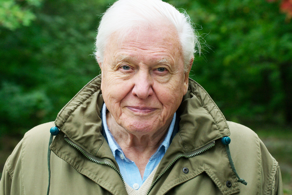 Chan dung “Nha vo dich Trai Dat 2022