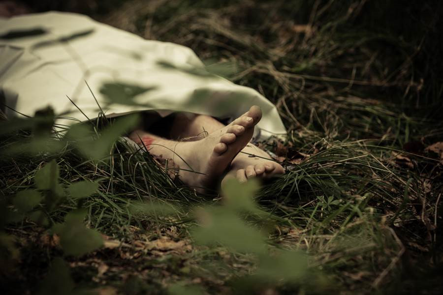 Cụ thể, cậu bé 3 tuổi kể rằng trong kiếp trước cậu đã bị tấn công bằng rìu tới chết. Cậu bé cũng nhớ rõ tên hung thủ sát hại mình. Tuy nhiên khi bị tố cáo, hung thủ đã một mực phủ nhận cáo buộc trên. Sau đó, bé trai tiếp tục dẫn những người lớn tuổi tới nơi chôn cất thi thể mình.