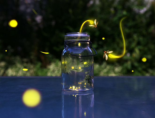 Mỗi loài đom đóm có kiểu phát sáng và thời gian phát sáng khác nhau. Độ dài của tín hiệu phát sáng còn liên quan tới lượng chất dinh dưỡng con đực cung cấp trong khi giao phối và sau đó tích trữ trong trứng con cái.