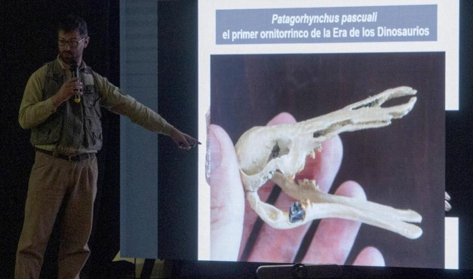 Từ đó, các nhà khoa học kết luận: "Khả năng Patagorhynchus pascuali đã có được các đặc điểm sinh thái và hành vi tương tự như đặc điểm của thú mỏ vịt ngày nay, sống ở ao và hồ, phù hợp với bằng chứng trầm tích cho thấy rằng những môi trường như vậy phổ biến trong quá trình lắng đọng của Hệ tầng Chorrillo".