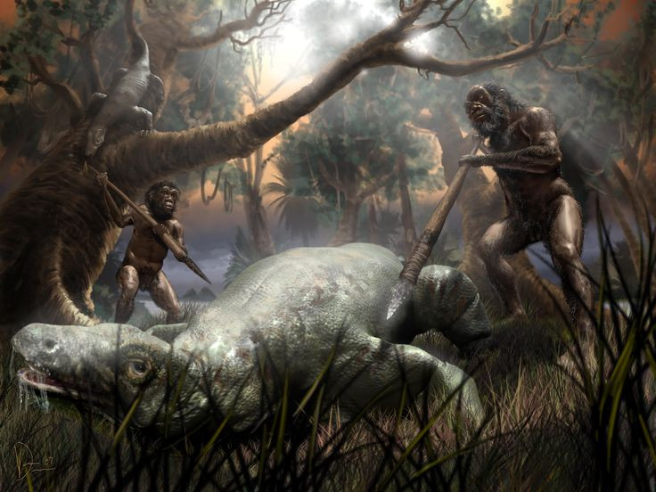 Dù không hoàn toàn hiểu được lý do, nhưng có lẽ một phần là do động vật nhỏ hơn thì có diện tích bề mặt ít hơn do đó có khả năng thải nhiệt dư thừa tốt hơn.