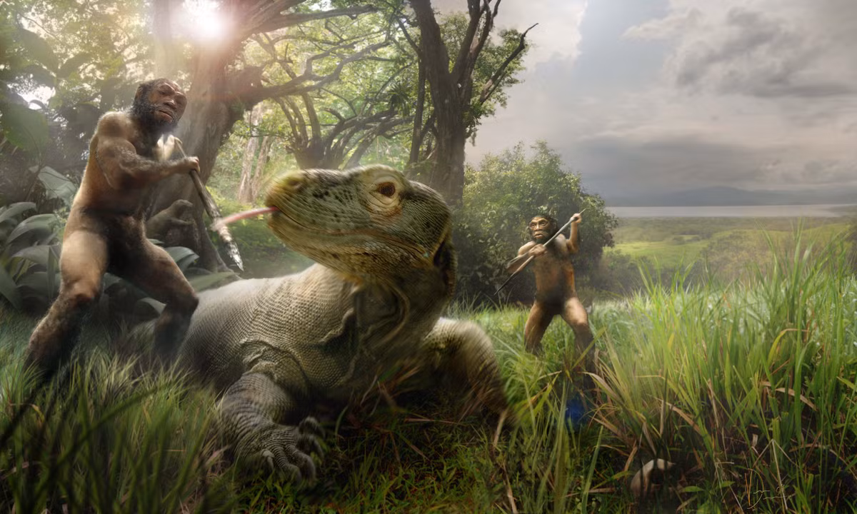 Hiện tượng này cũng được ghi nhận khi hóa thạch một số loài người cổ đại được liên kết với các điều kiện sống.