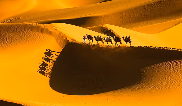 Vậy tạo sao những đụn cát trên sa mạc này lại có thể phát ra âm thanh? Theo nghiên cứu, chúng có thể phát ra âm thanh là do nhiều yếu tố, trong đó chất lượng của hạt cát là một yếu tố quan trọng.