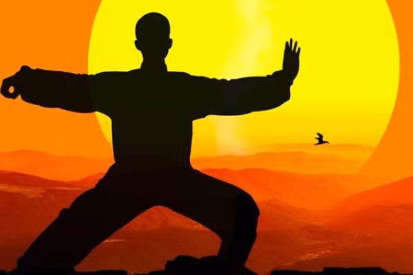 Nhà văn Kim Dung mô tả về Thất Thương Quyền rằng: "Chiêu này đánh vào thân cây trông thì không thấy gì, song một lát sau lá cây héo dần, vì bên trong các thớ gỗ đã bị rã rời, người bình thường chỉ đẩy nhẹ thôi cũng ngã".