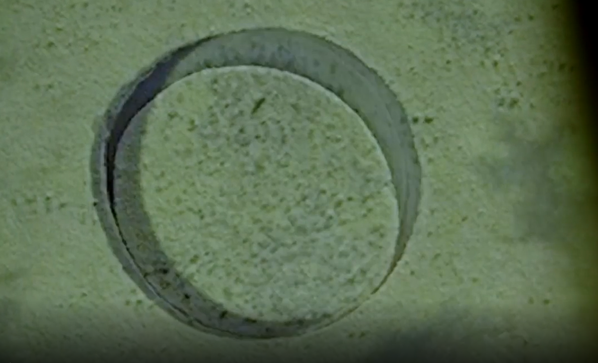 "Nó có cấu trúc tròn vành vạnh, viền bên ngoài là một vòng tròn nước khác. Hòn đảo kỳ lạ này có thể liên quan tới UFO và những câu chuyện huyền bí khác", Petroni chia sẻ.