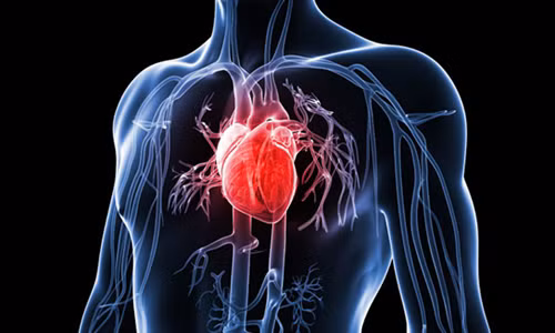 Cô sắp xếp tình nguyện viên tham gia hẹn hò giấu mặt và đo phản ứng sinh lý của họ. Prochazkova và cộng sự nhận thấy nhịp tim của những cảm đôi cảm mến nhau đồng bộ. "Trong nghiên cứu, chúng tôi phát hiện mọi người có thể quyết định họ có muốn hẹn hò với đối tác hay không rất nhanh. Trong vòng hai giây đầu tiên của buổi hẹn, người tham gia có ý nghĩ rất phức tạp về người ngồi đối diện", Prochazkova cho biết.