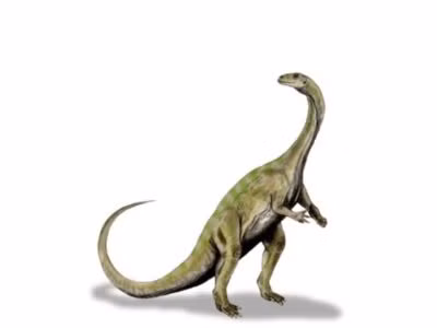 Việc phát hiện ra Mbiresaurus raathi đã lấp đầy khoảng trống địa lý quan trọng trong hồ sơ hóa thạch của những loài khủng long lâu đời nhất và cho thấy sức mạnh của việc nghiên cứu thực địa dựa trên giả thuyết để kiểm tra các dự đoán về quá khứ cổ đại.