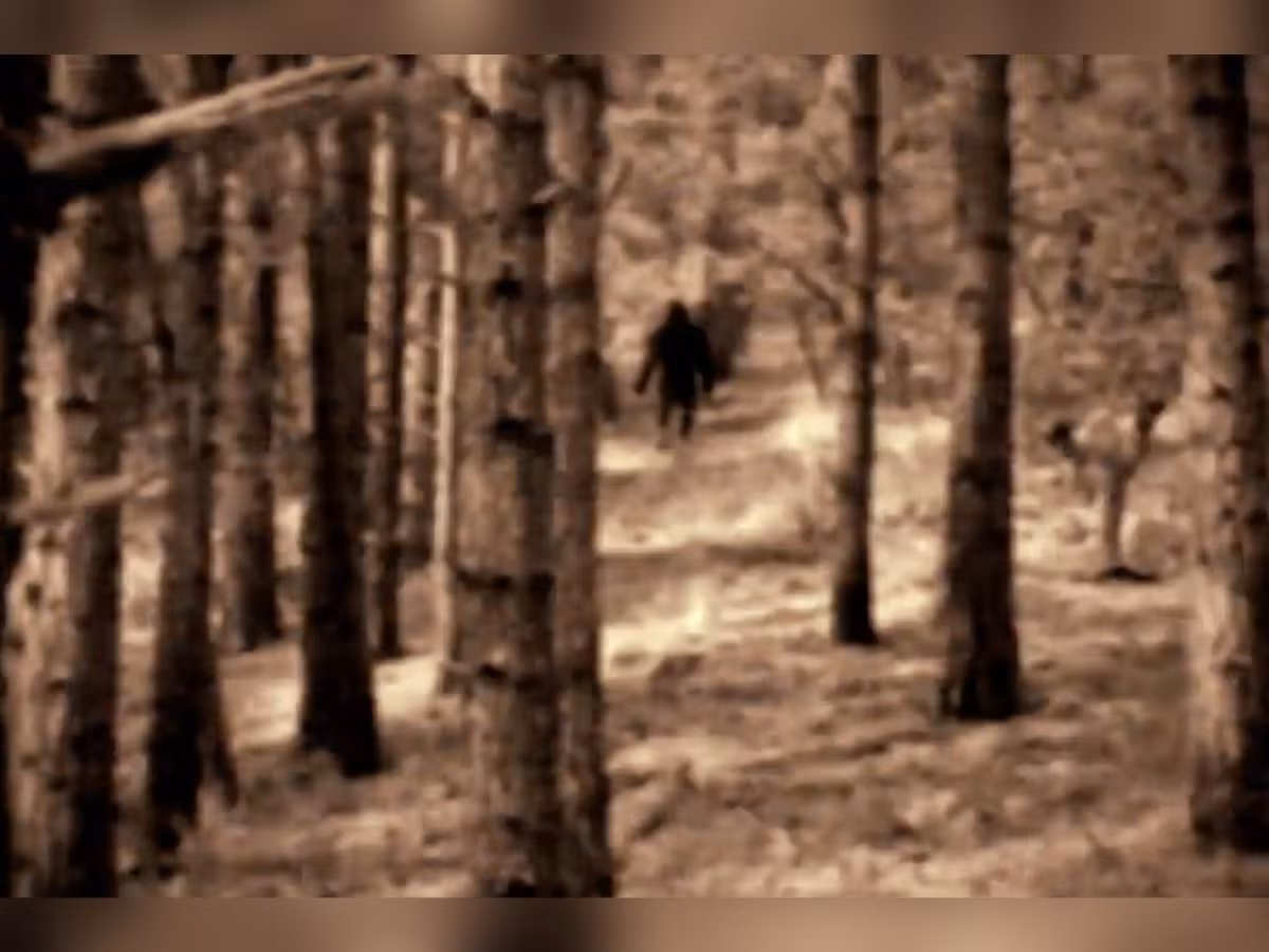 Nghiên cứu di truyền học cung cấp một lý do khác để đặt ra nghi ngờ về sự tồn tại của Bigfoot. Khoa học cho rằng không thể chỉ có một sinh vật độc nhất, khó nắm bắt. Nhiều cá thể sẽ phải tồn tại để cung cấp đủ đa dạng di truyền để duy trì một quần thể.