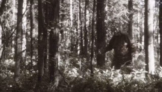 Một số người khẳng định nghe thấy Bigfoot la hét, gào rú, tru rống, hoặc nhiều âm thanh khác. Các bản thu âm thanh kỳ lạ gắn liền với Bigfoot đôi khi thu hút sự chú ý của truyền thông nhưng tiếng động thường được quy cho động vật đã biết như cáo hoặc sói đồng cỏ.