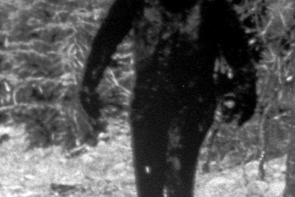 Năm 1958, Humboldt Times, một tờ báo địa phương ở Bắc California, đã đăng một câu chuyện về việc phát hiện ra những dấu chân khổng lồ bí ẩn gần Bluff Creek, California. Tạp chí Smithsonian gọi sinh vật tạo ra những dấu chân này là "Bigfoot".